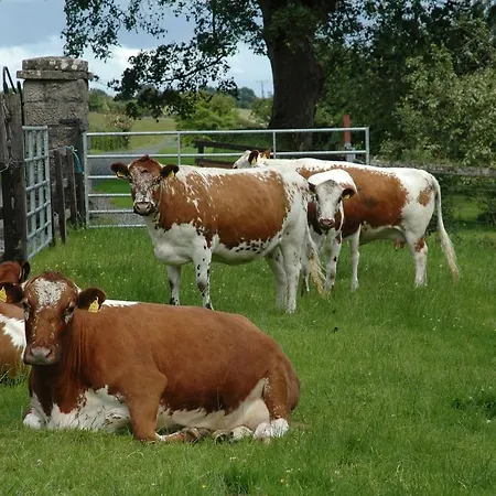 Alloggio per agriturismo Lough Bishop House Farm *