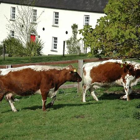 Alloggio per agriturismo Lough Bishop House Farm *